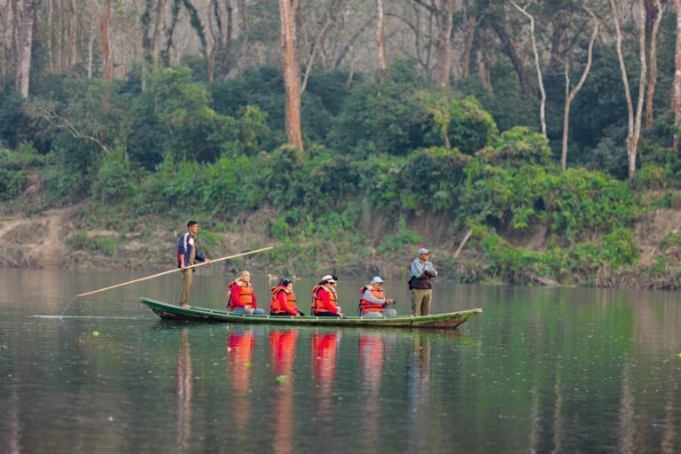 Group enjoying guided canoe ride on a calm forest lake with life jackets
